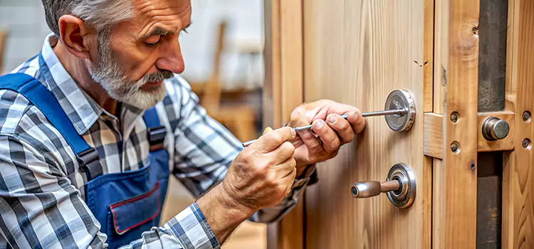 Mortise Replacement Lock Pampa