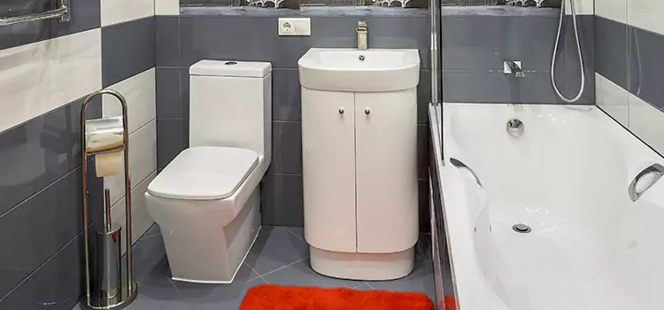 Hansgrohe Shaving Mirror Pampa